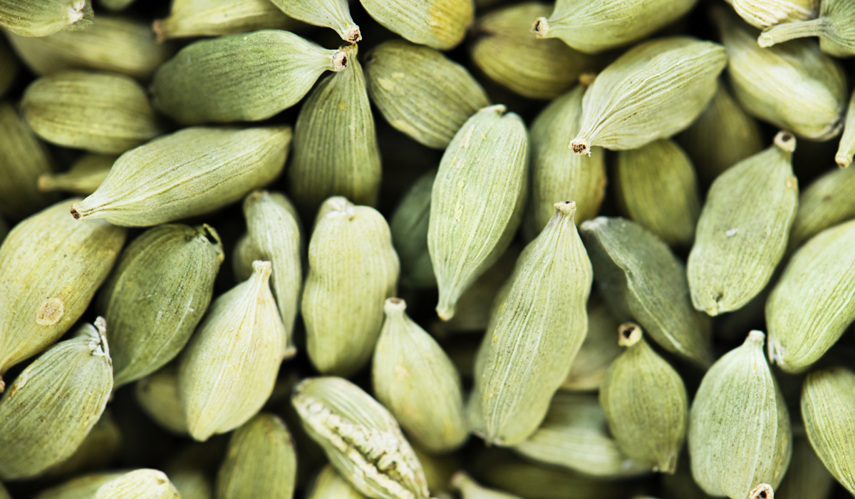 All About Cardamom – The Queen of Spices
